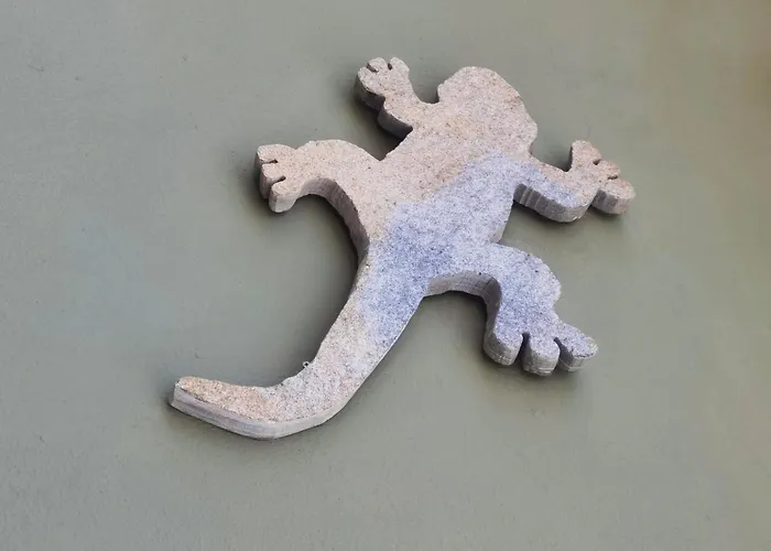 Casa Lagarto